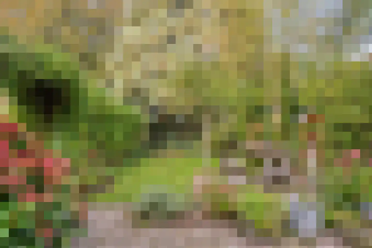 Esweg 1 Schipborg thumbnail 41