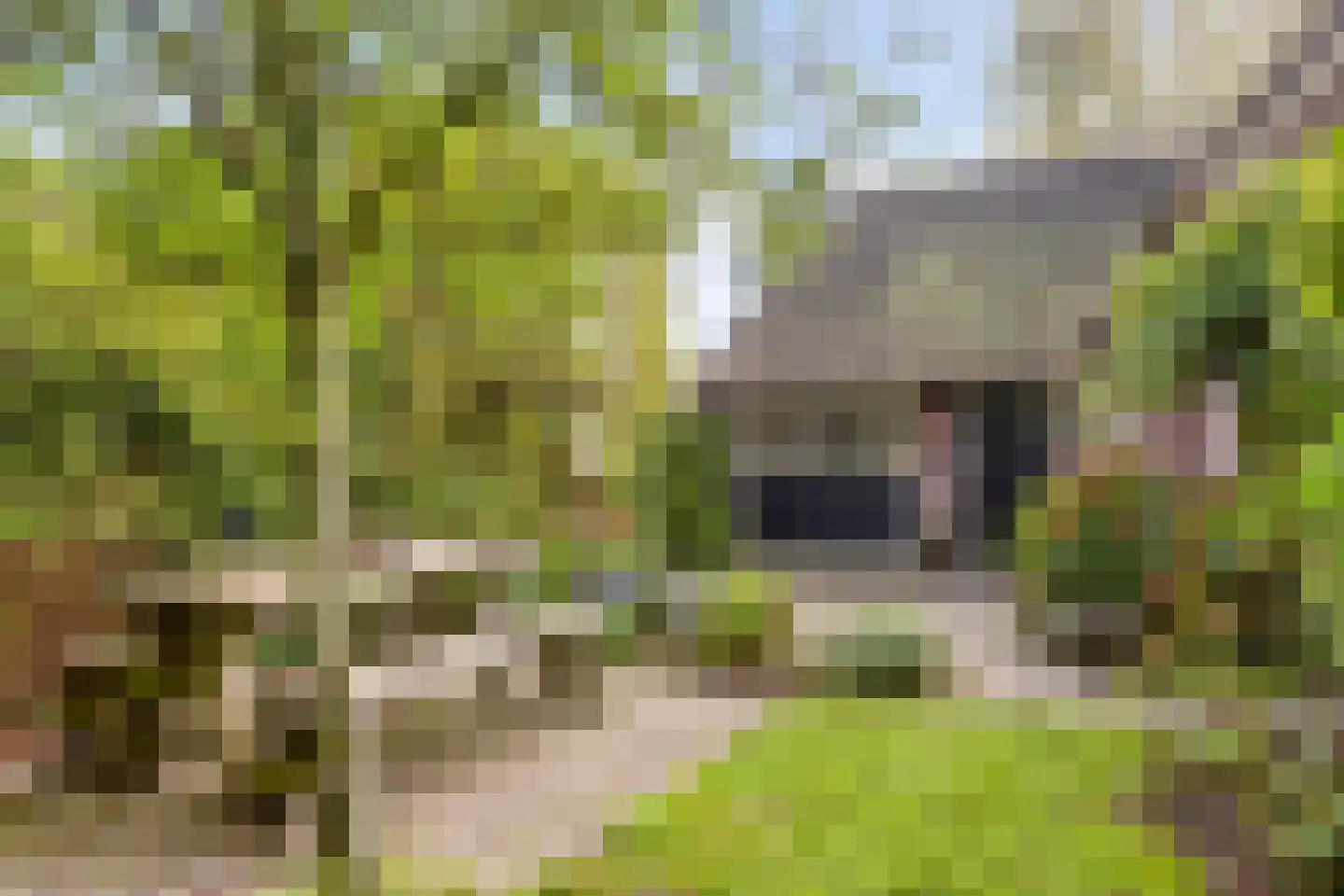 Esweg 1 Schipborg thumbnail 42