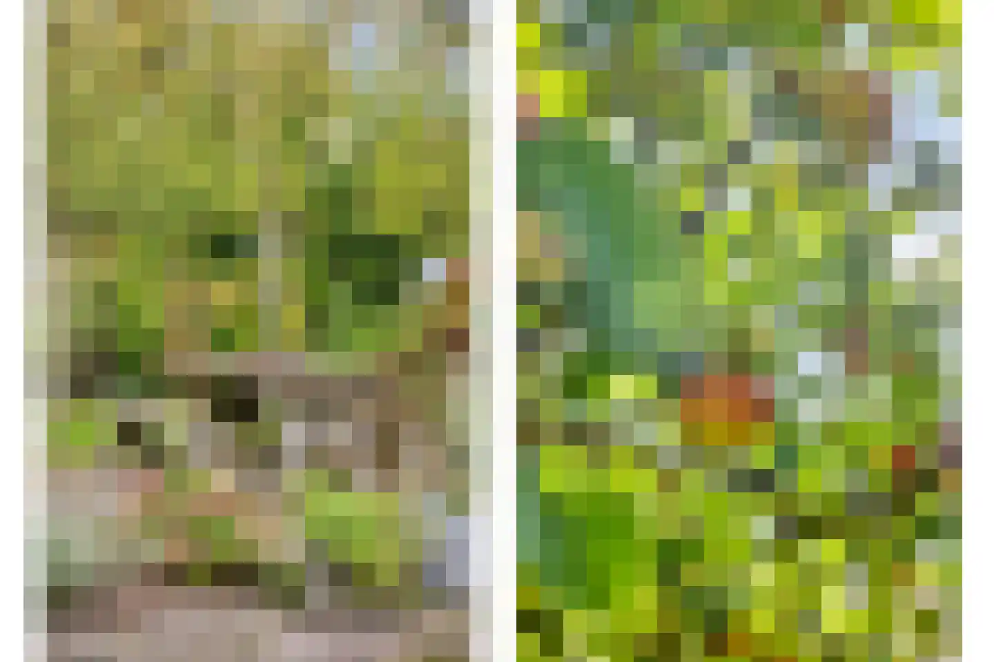 Esweg 1 Schipborg thumbnail 43