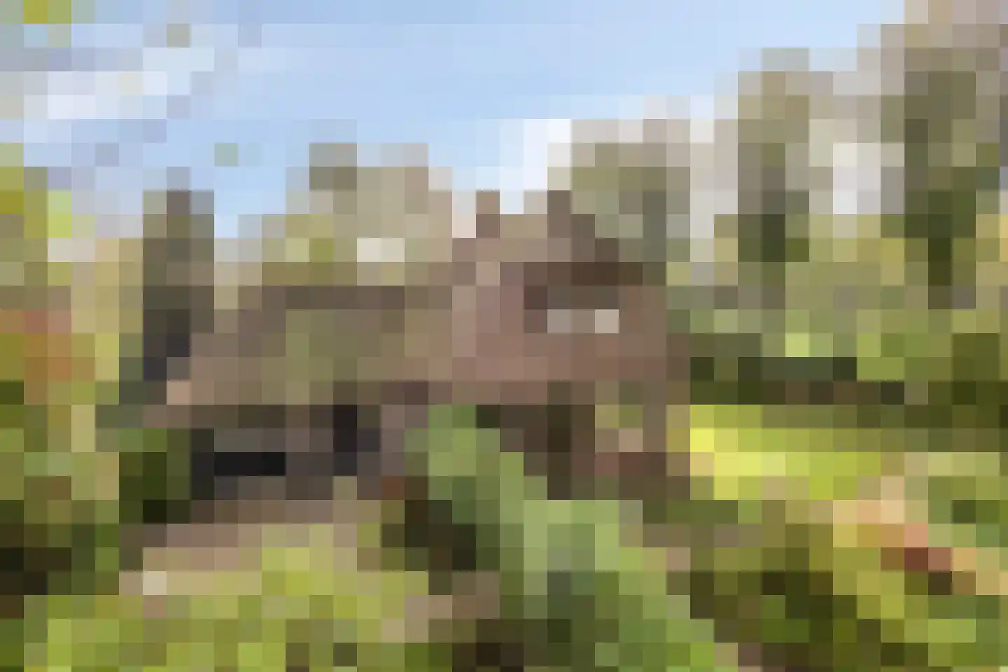 Esweg 1 Schipborg thumbnail 44