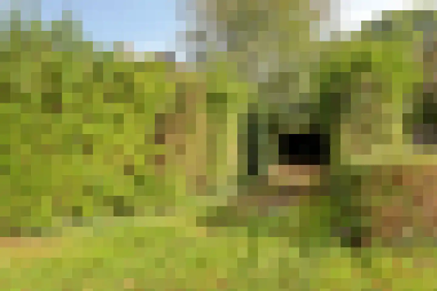 Esweg 1 Schipborg thumbnail 48