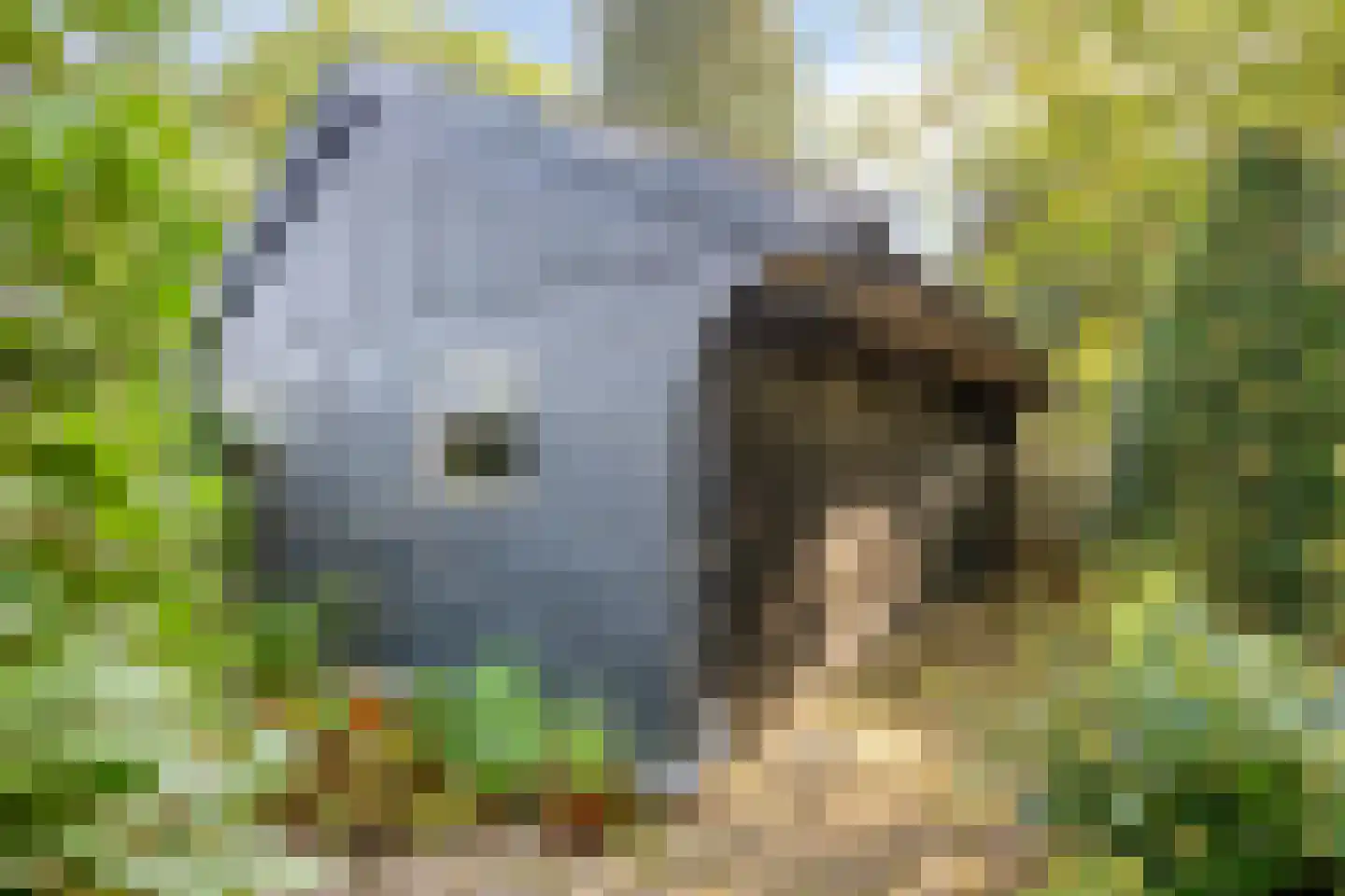 Esweg 1 Schipborg thumbnail 49