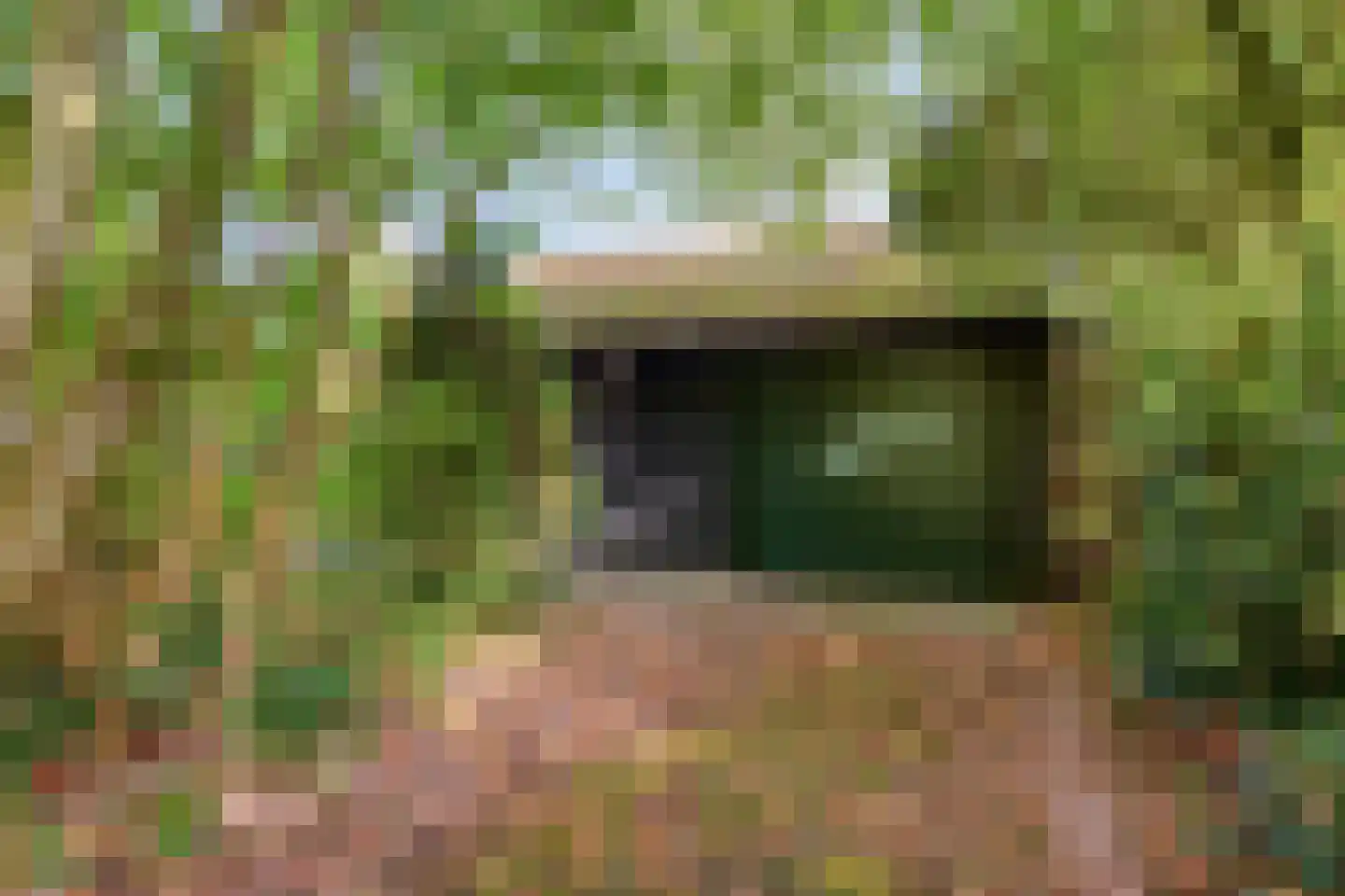 Esweg 1 Schipborg thumbnail 50