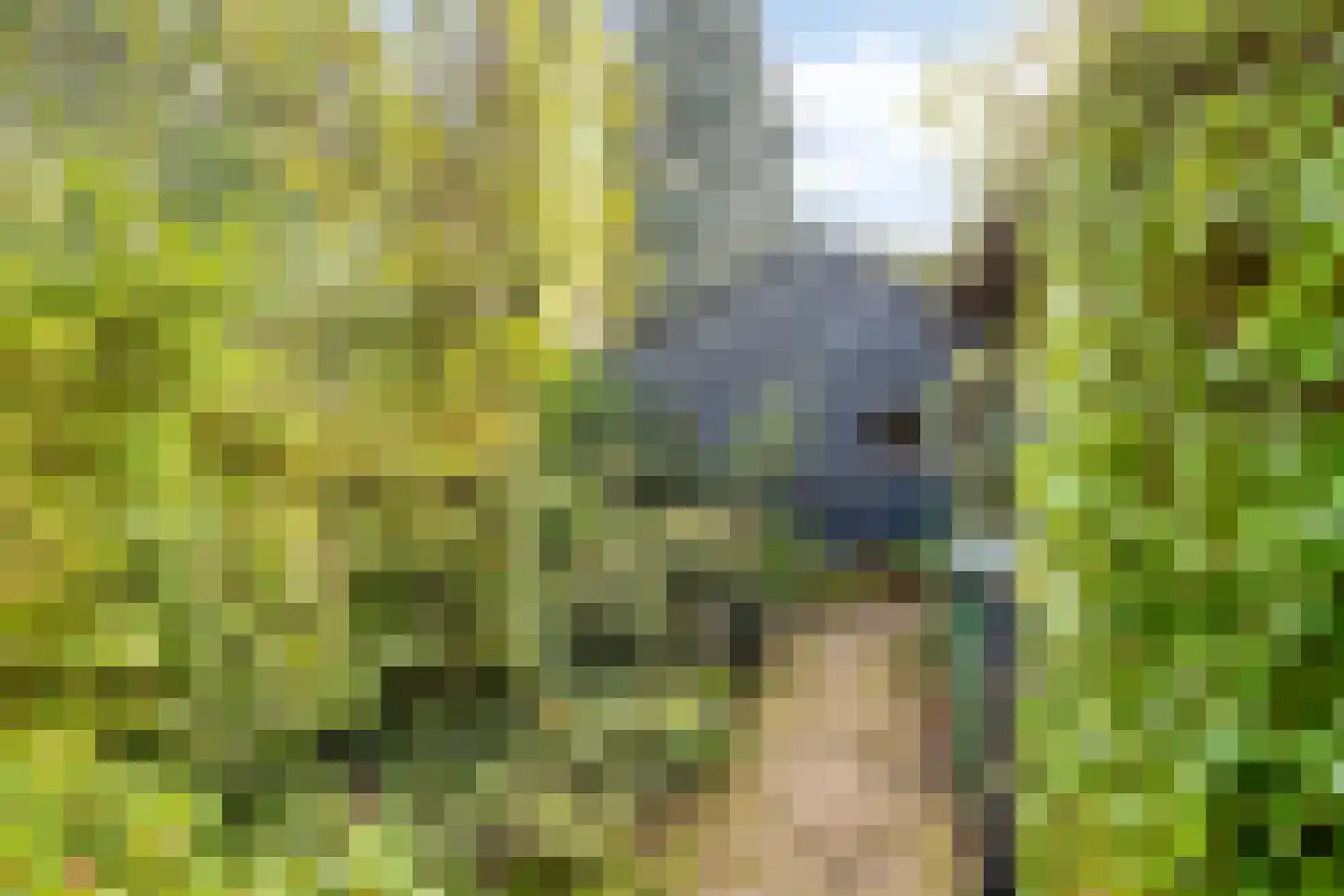 Esweg 1 Schipborg thumbnail 51