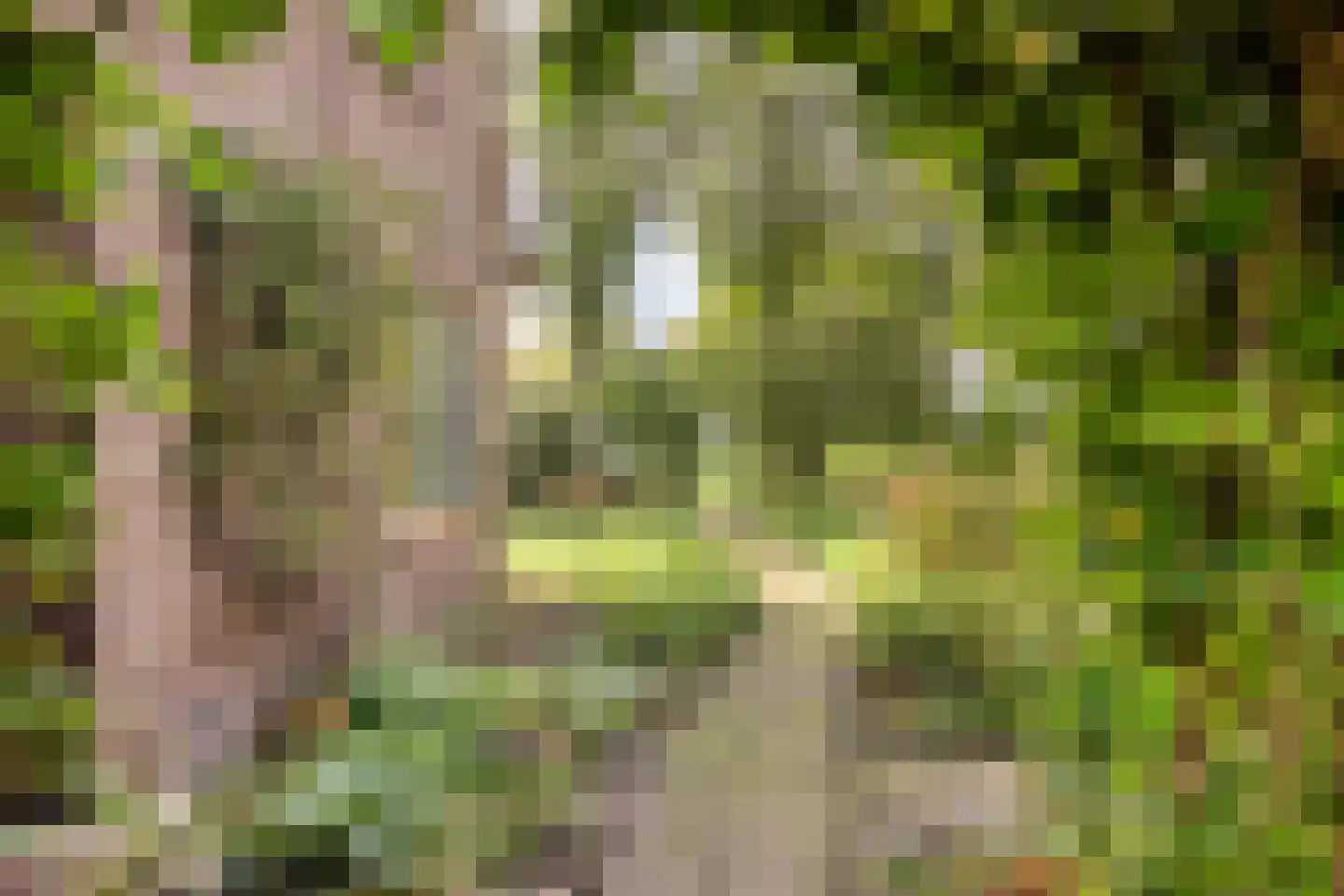Esweg 1 Schipborg thumbnail 52