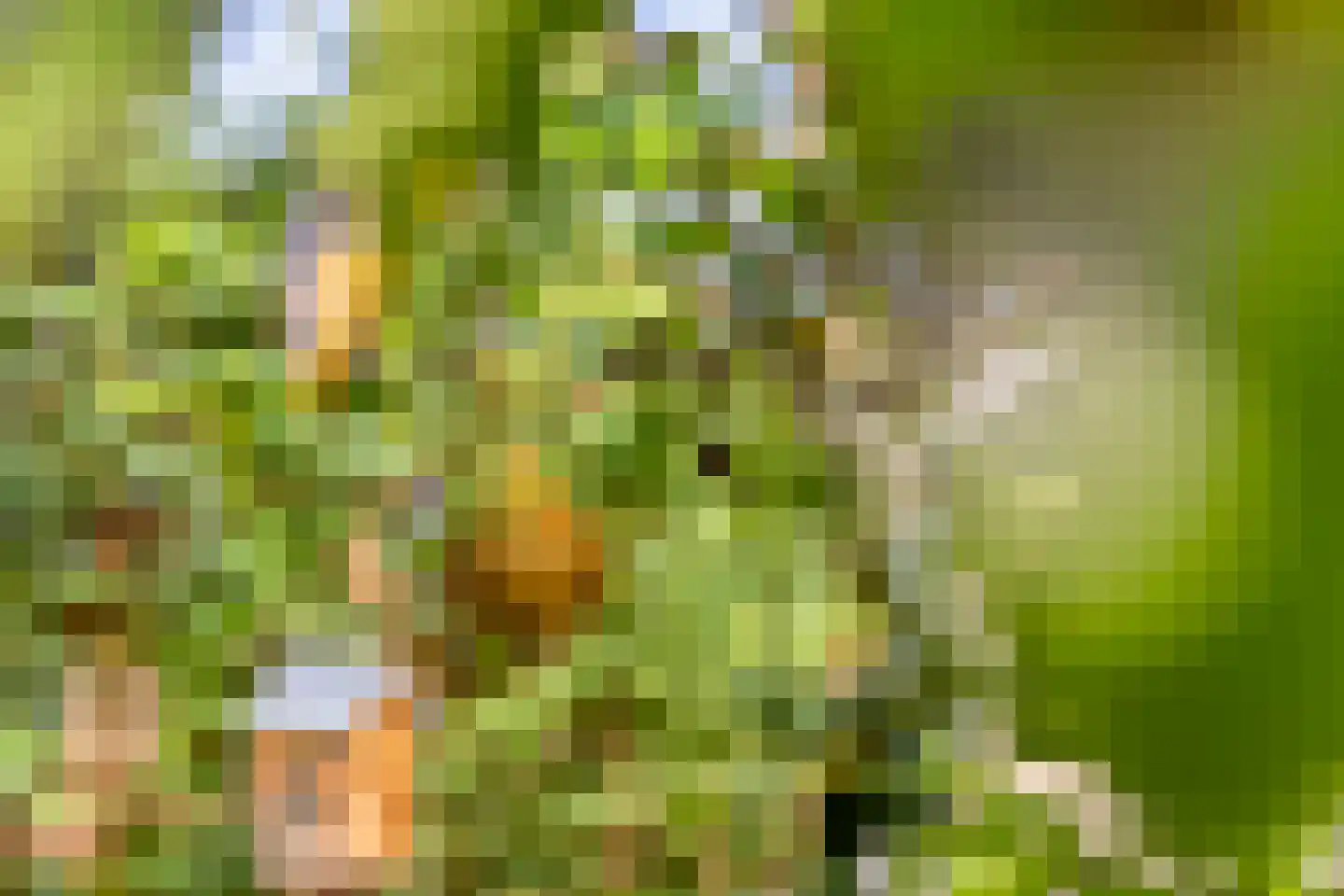Esweg 1 Schipborg thumbnail 53