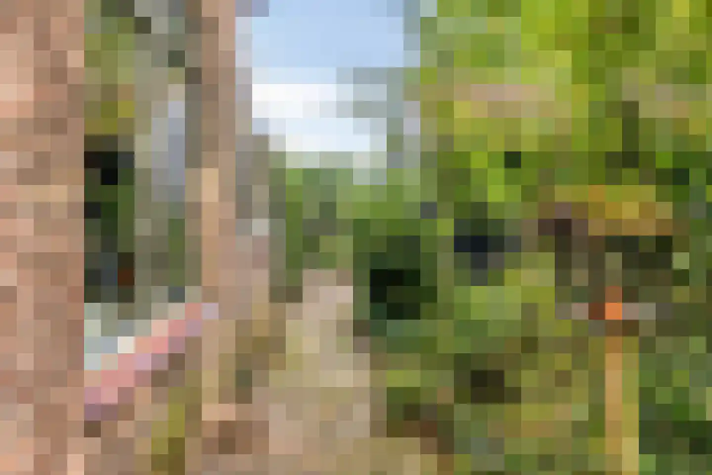 Esweg 1 Schipborg thumbnail 54