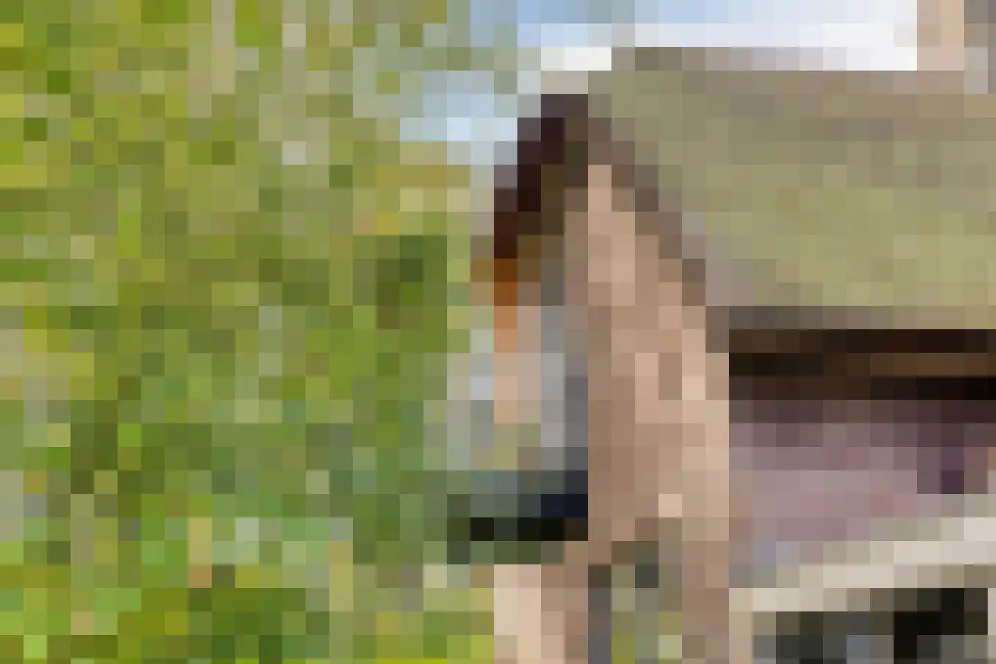 Esweg 1 Schipborg thumbnail 55