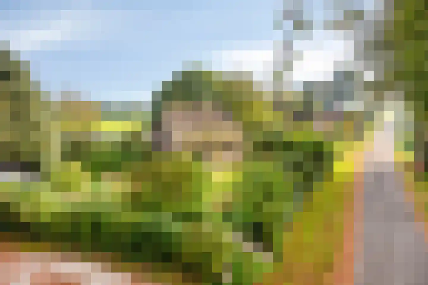 Esweg 1 Schipborg thumbnail 57
