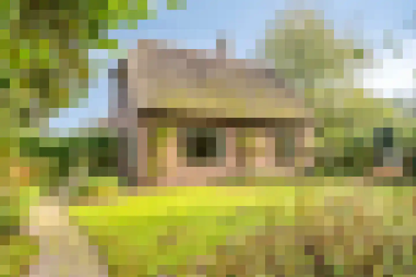 Esweg 1 Schipborg thumbnail 58