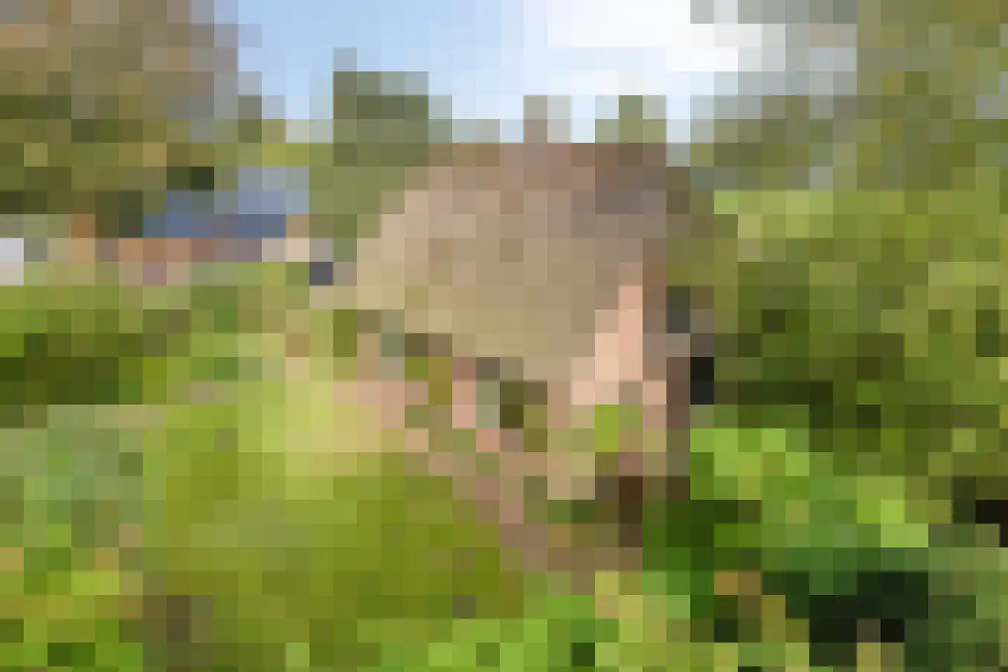 Esweg 1 Schipborg thumbnail 59