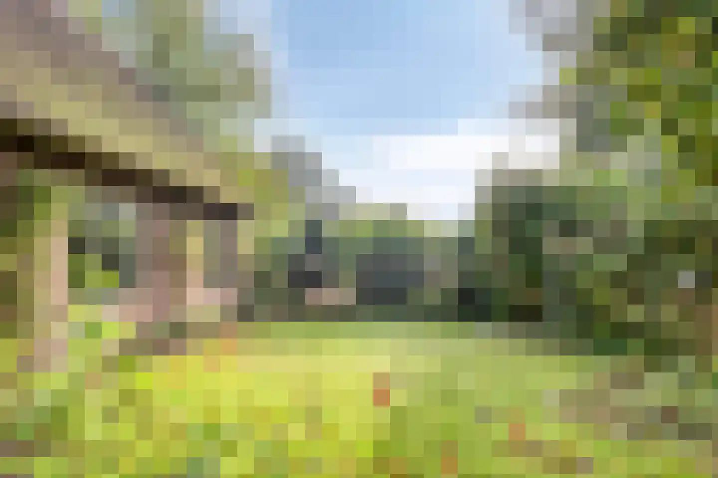 Esweg 1 Schipborg thumbnail 60