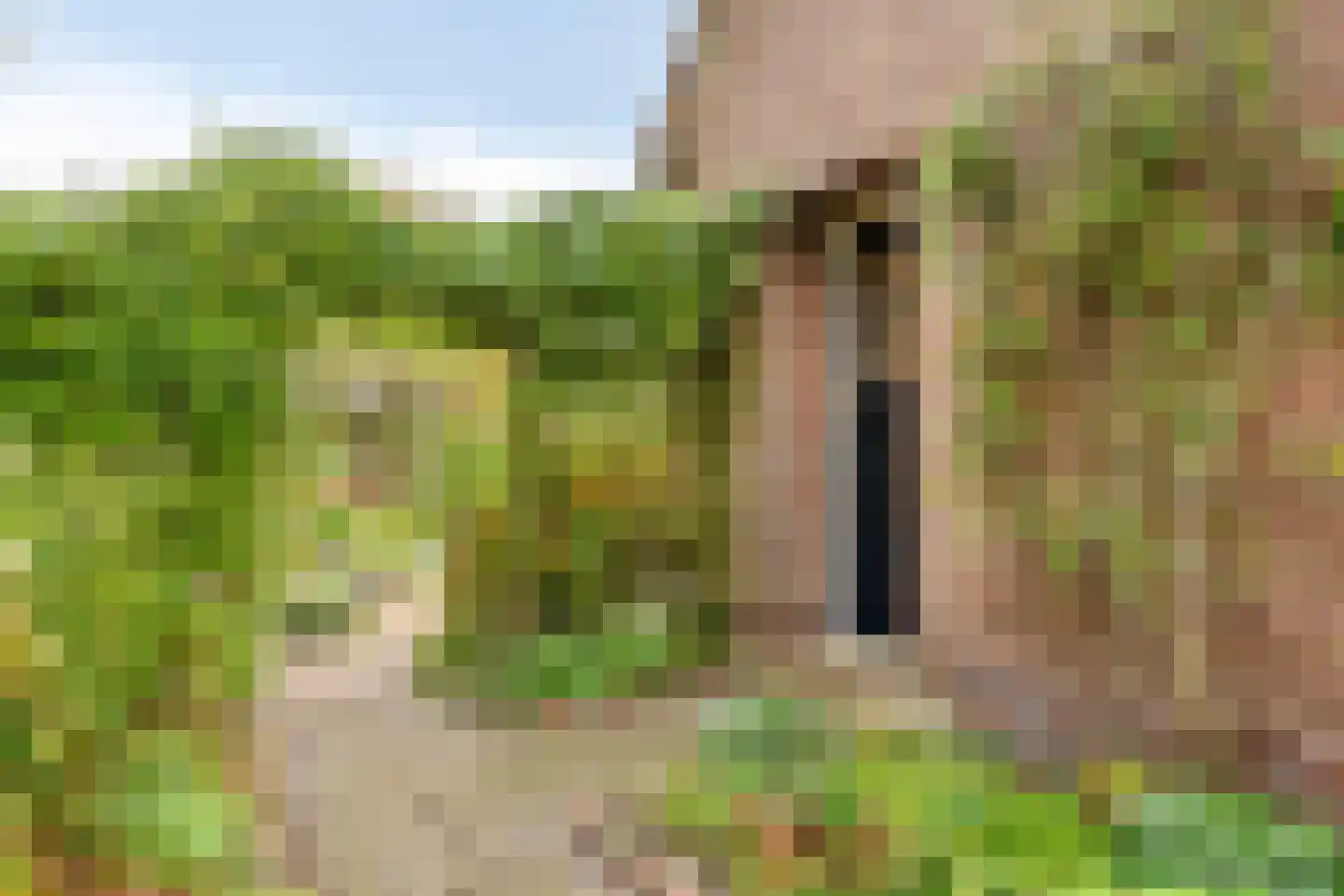 Esweg 1 Schipborg thumbnail 61