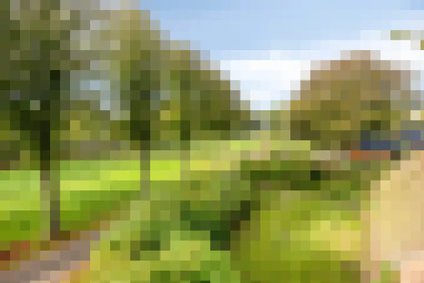 Esweg 1 Schipborg thumbnail 62