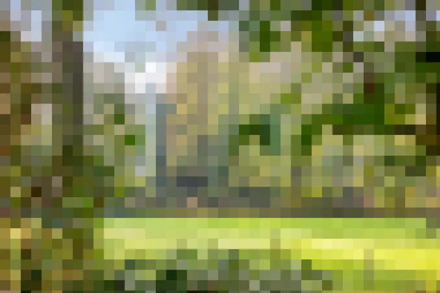 Esweg 1 Schipborg thumbnail 63
