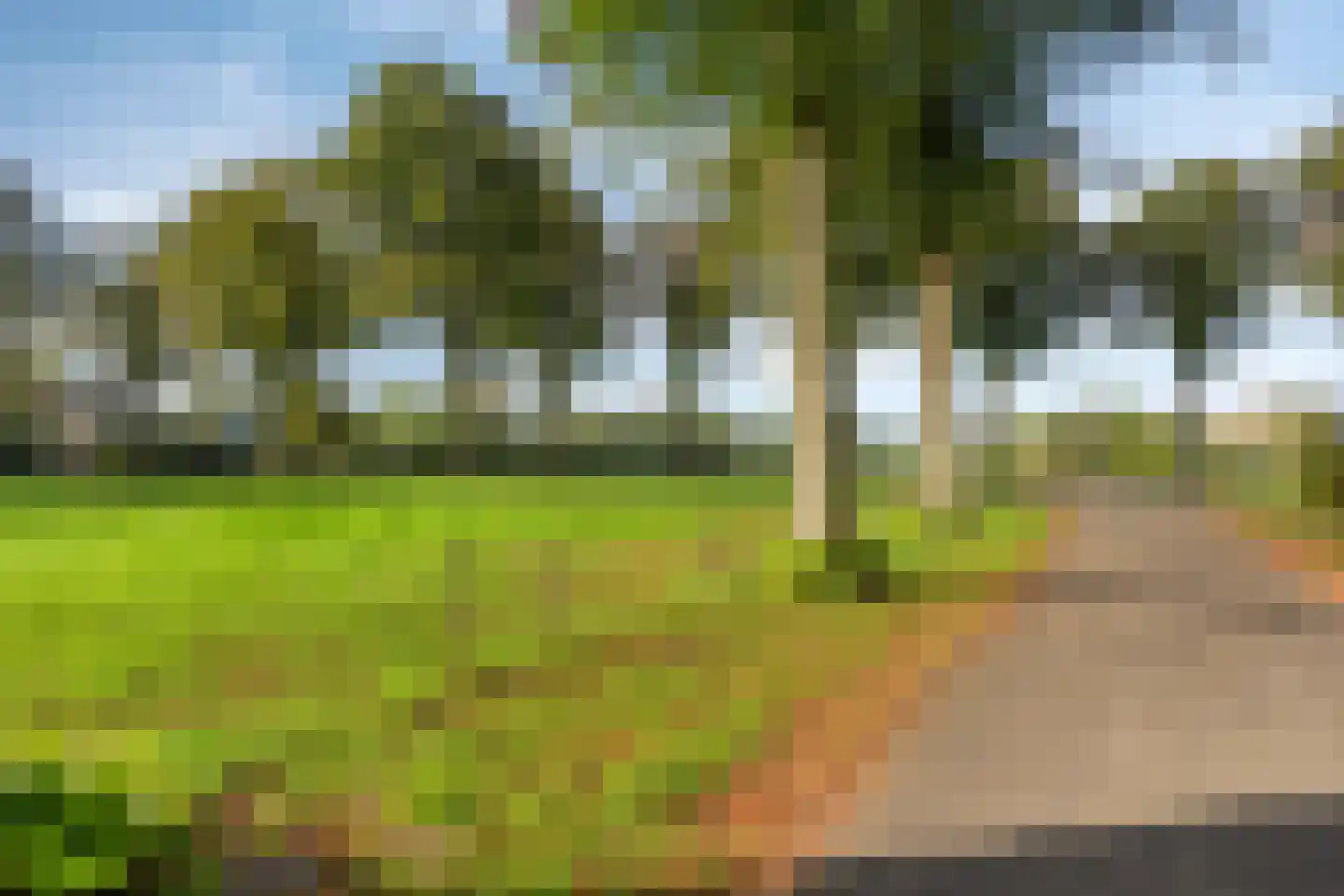 Esweg 1 Schipborg thumbnail 64