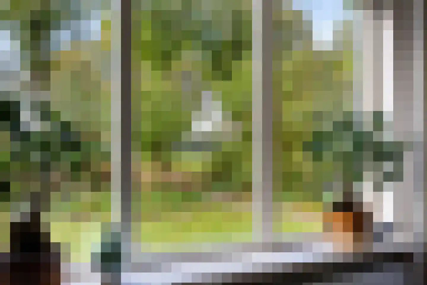 Esweg 1 Schipborg thumbnail 8