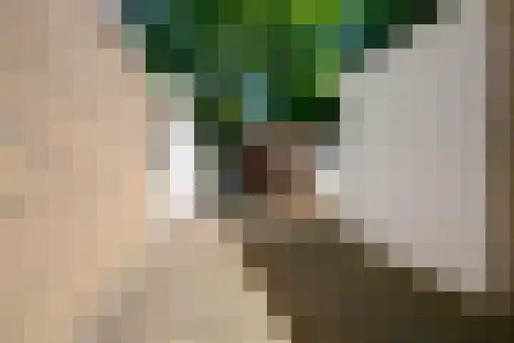 Esweg 10 Blijham thumbnail 28