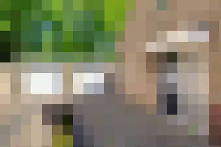Esweg 10 Blijham thumbnail 4