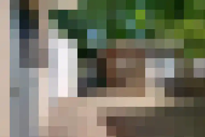 Esweg 10 Blijham thumbnail 5