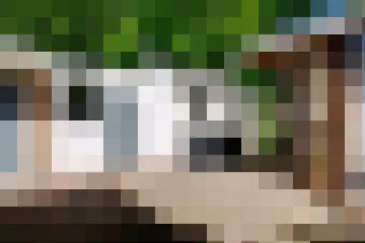 Esweg 10 Blijham thumbnail 6