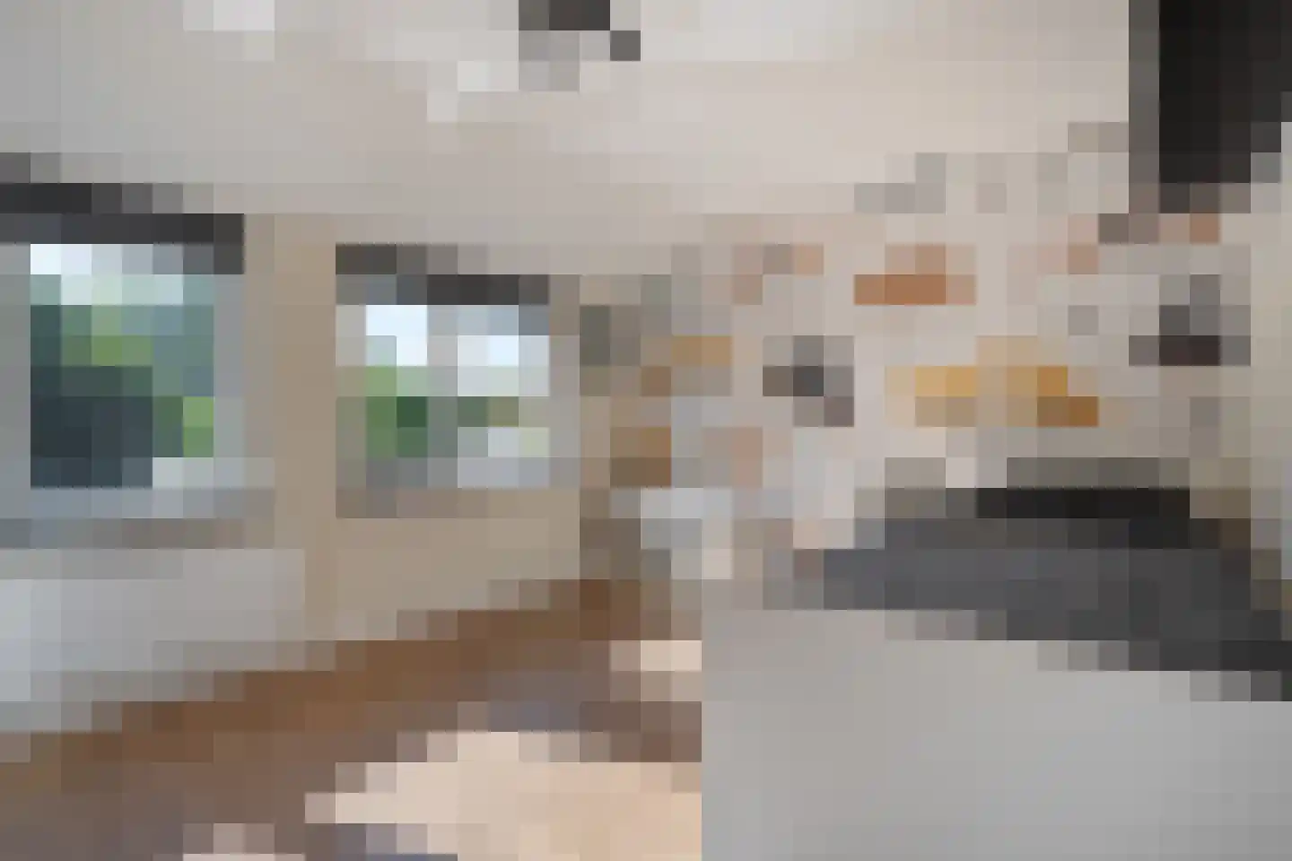 Esweg 100 Beilen thumbnail 30