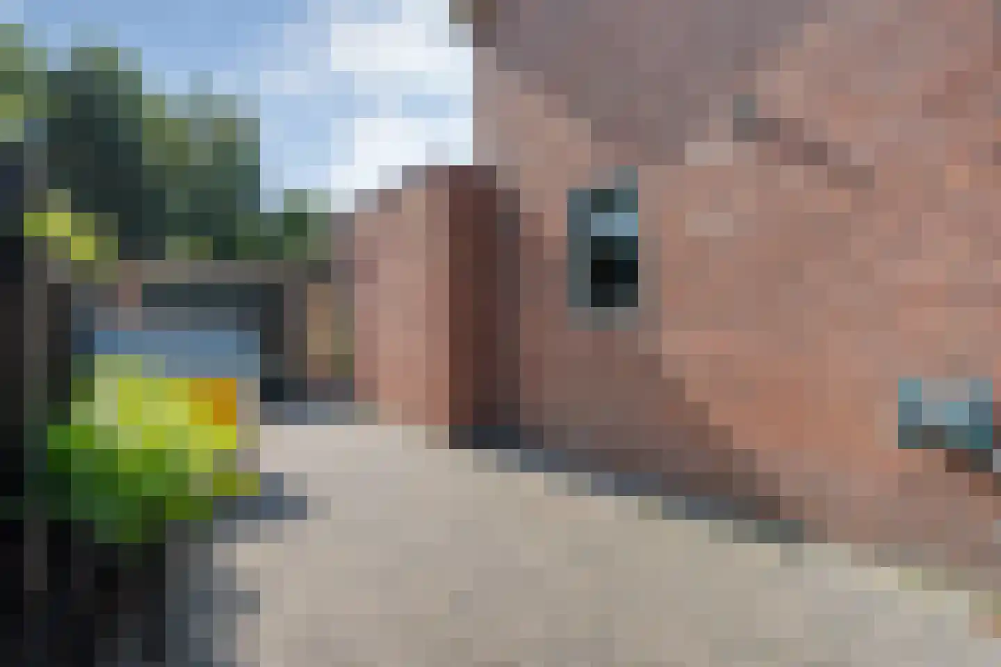 Esweg 100 Beilen thumbnail 48