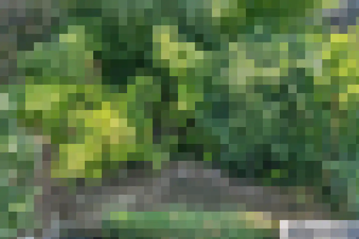 Esweg 100 Beilen thumbnail 51