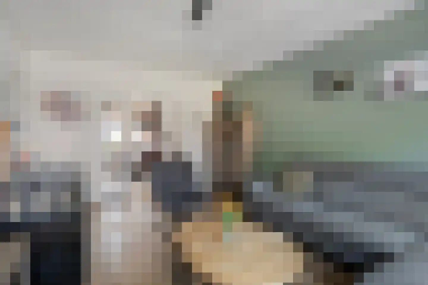 Esweg 100 Beilen thumbnail 8