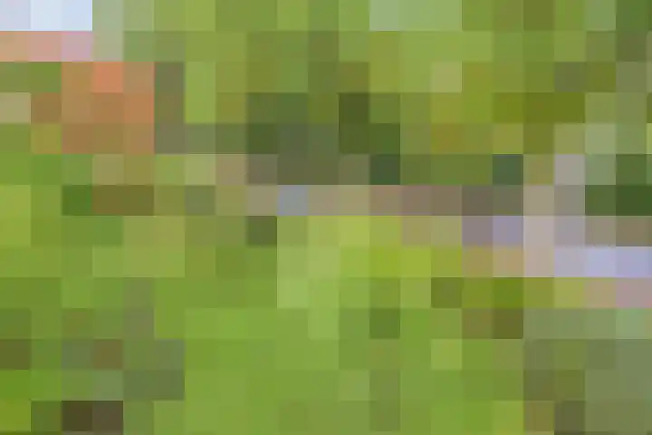 Esweg 108 Beilen thumbnail 33