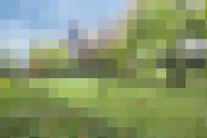 Esweg 108 Beilen thumbnail 4