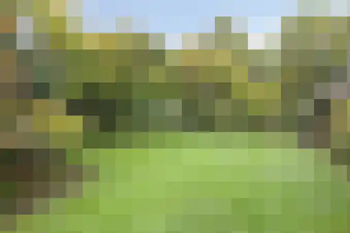 Esweg 108 Beilen thumbnail 40
