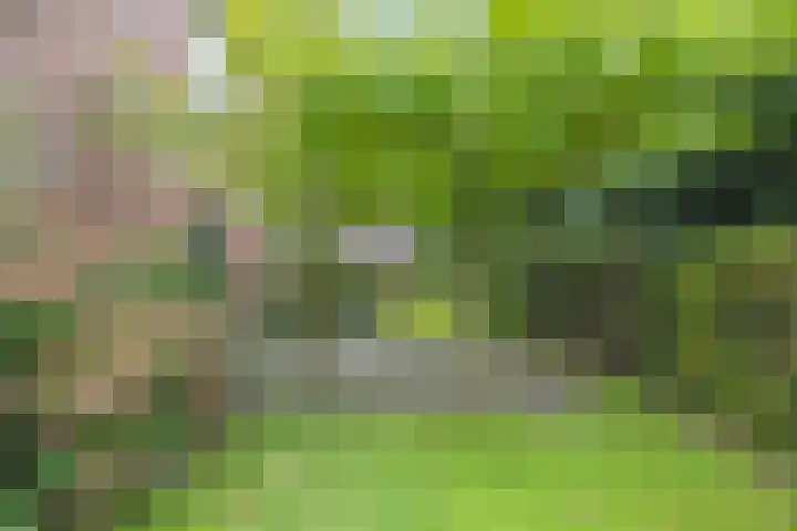 Esweg 108 Beilen thumbnail 41