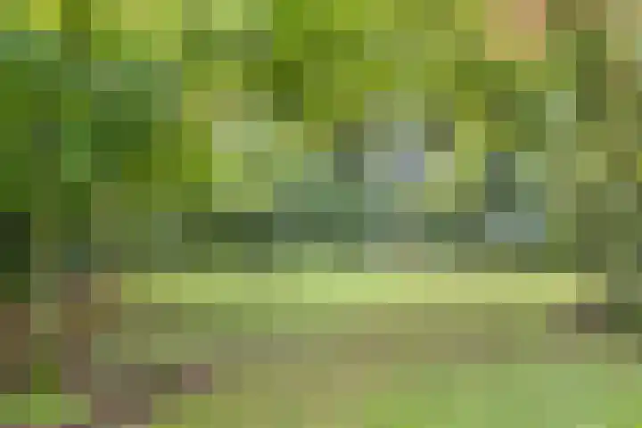 Esweg 108 Beilen thumbnail 42