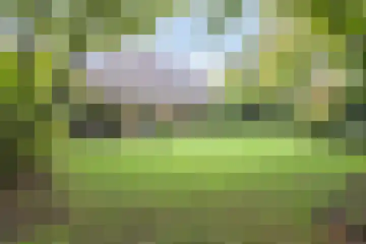 Esweg 108 Beilen thumbnail 43