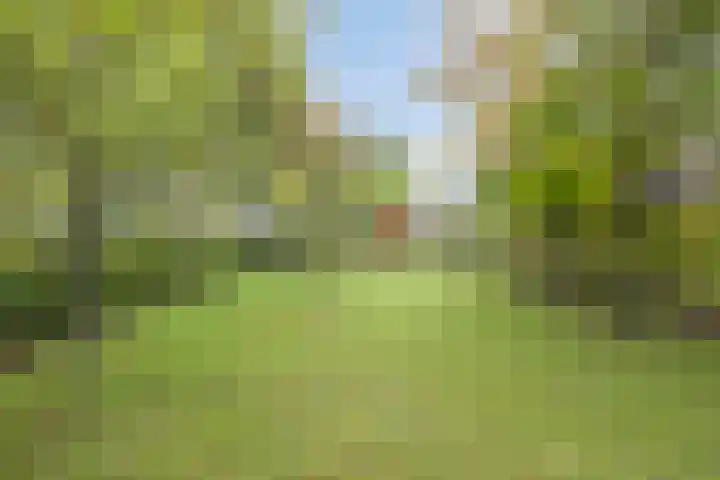 Esweg 108 Beilen thumbnail 44