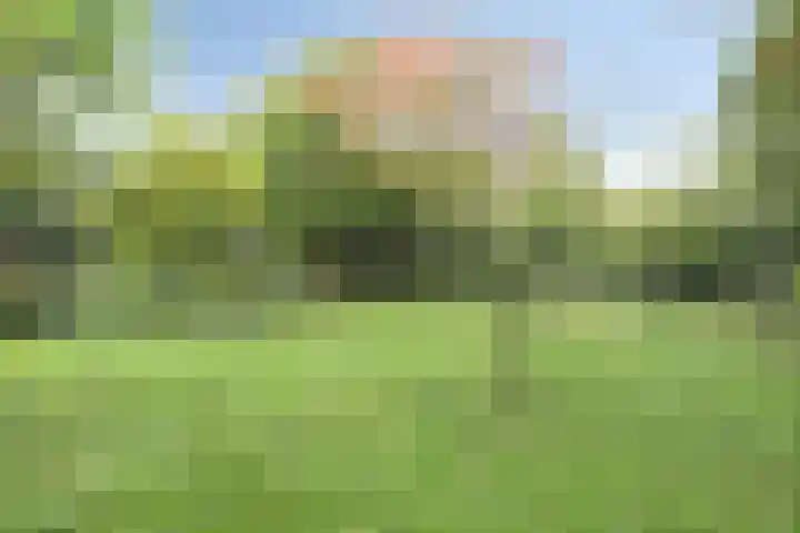 Esweg 108 Beilen thumbnail 46