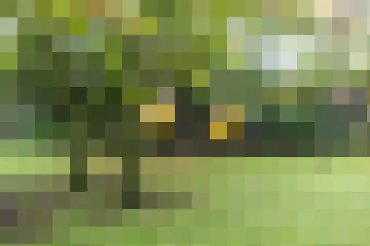 Esweg 108 Beilen thumbnail 47