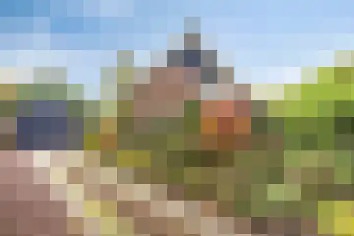 Esweg 108 Beilen thumbnail 5