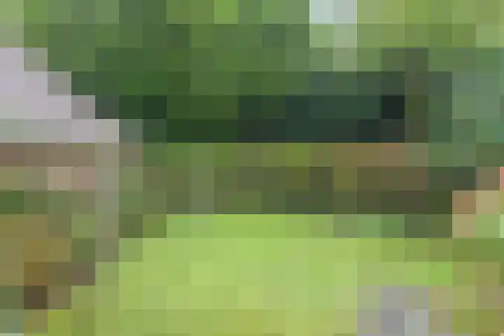 Esweg 108 Beilen thumbnail 50
