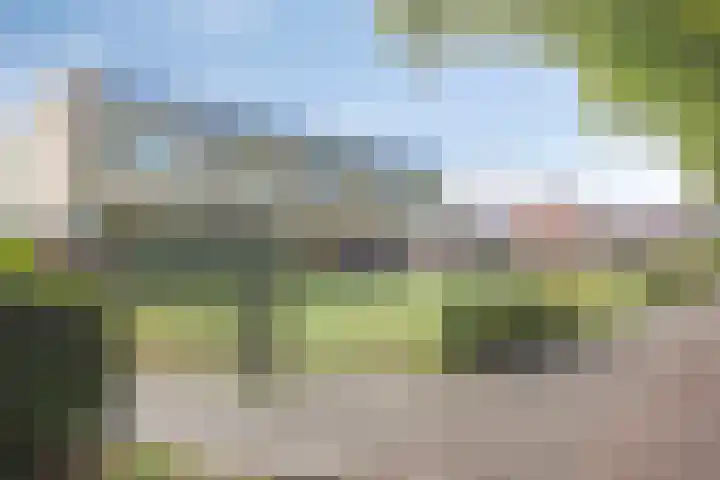 Esweg 108 Beilen thumbnail 51