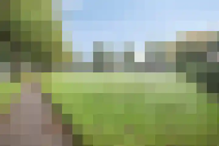 Esweg 108 Beilen thumbnail 52