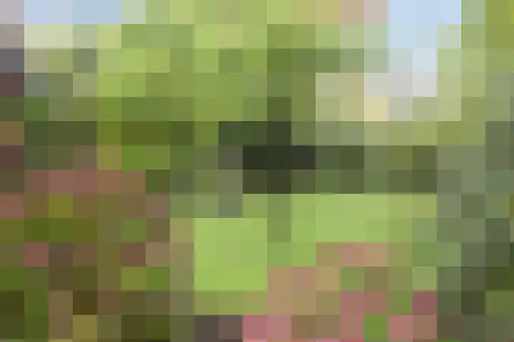 Esweg 108 Beilen thumbnail 6