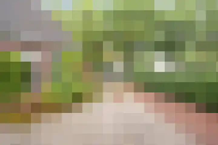 Esweg 108 Beilen thumbnail 8
