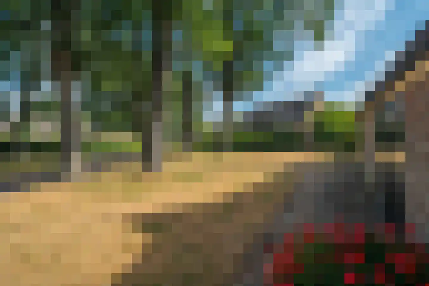 Esweg 12 Norg thumbnail 10