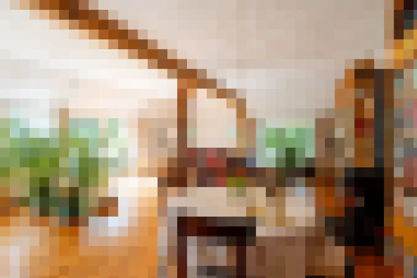 Esweg 12 Norg thumbnail 24