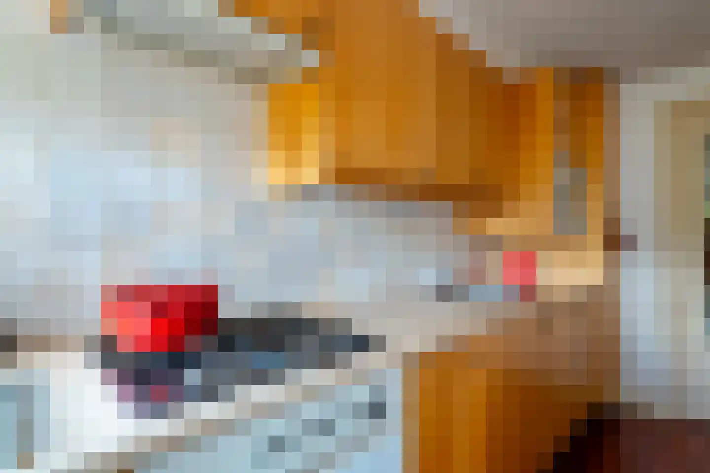 Esweg 12 Norg thumbnail 36