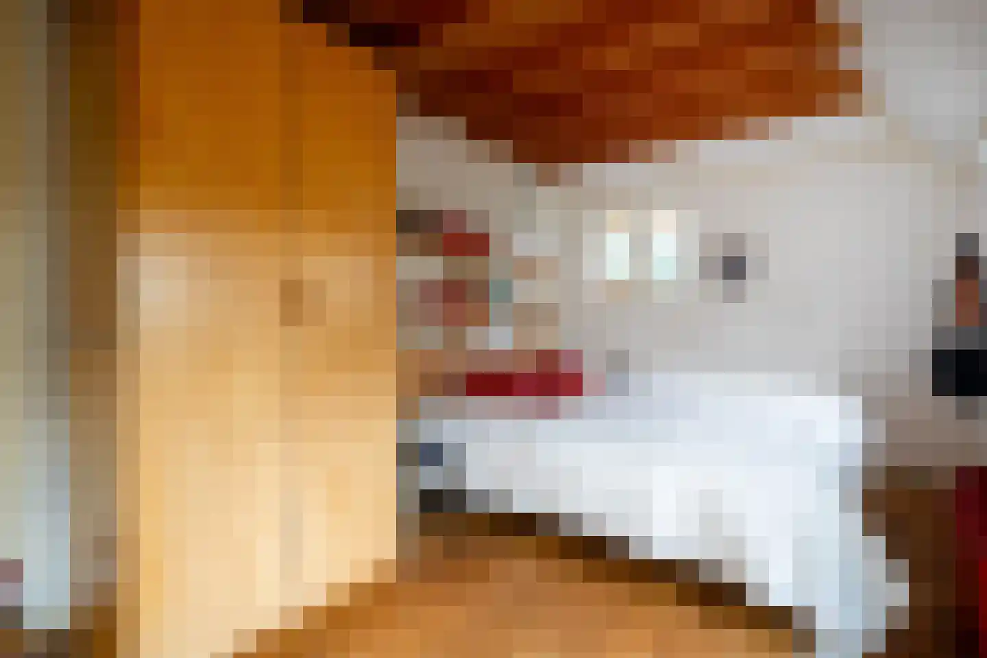 Esweg 12 Norg thumbnail 39