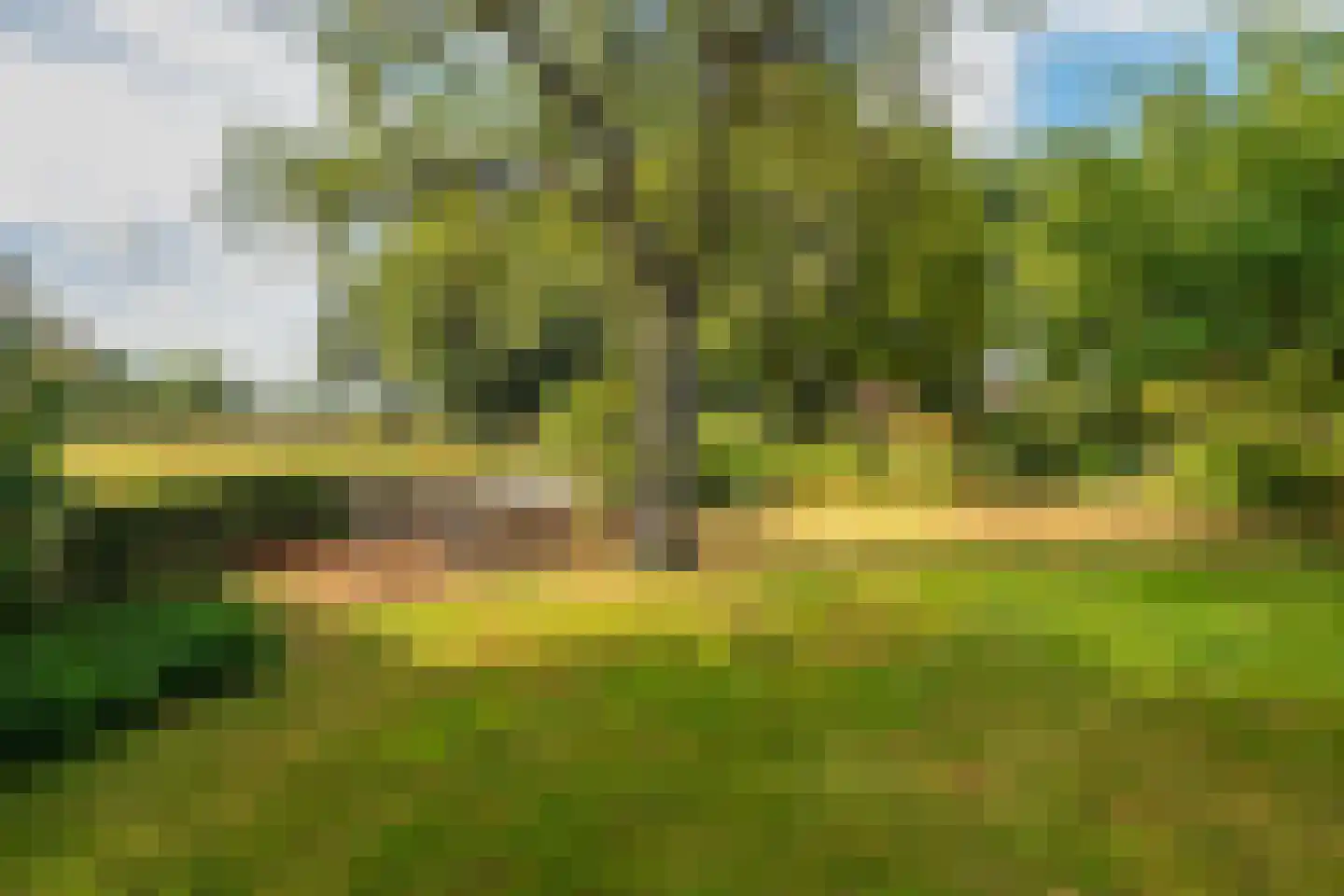 Esweg 12 Norg thumbnail 4
