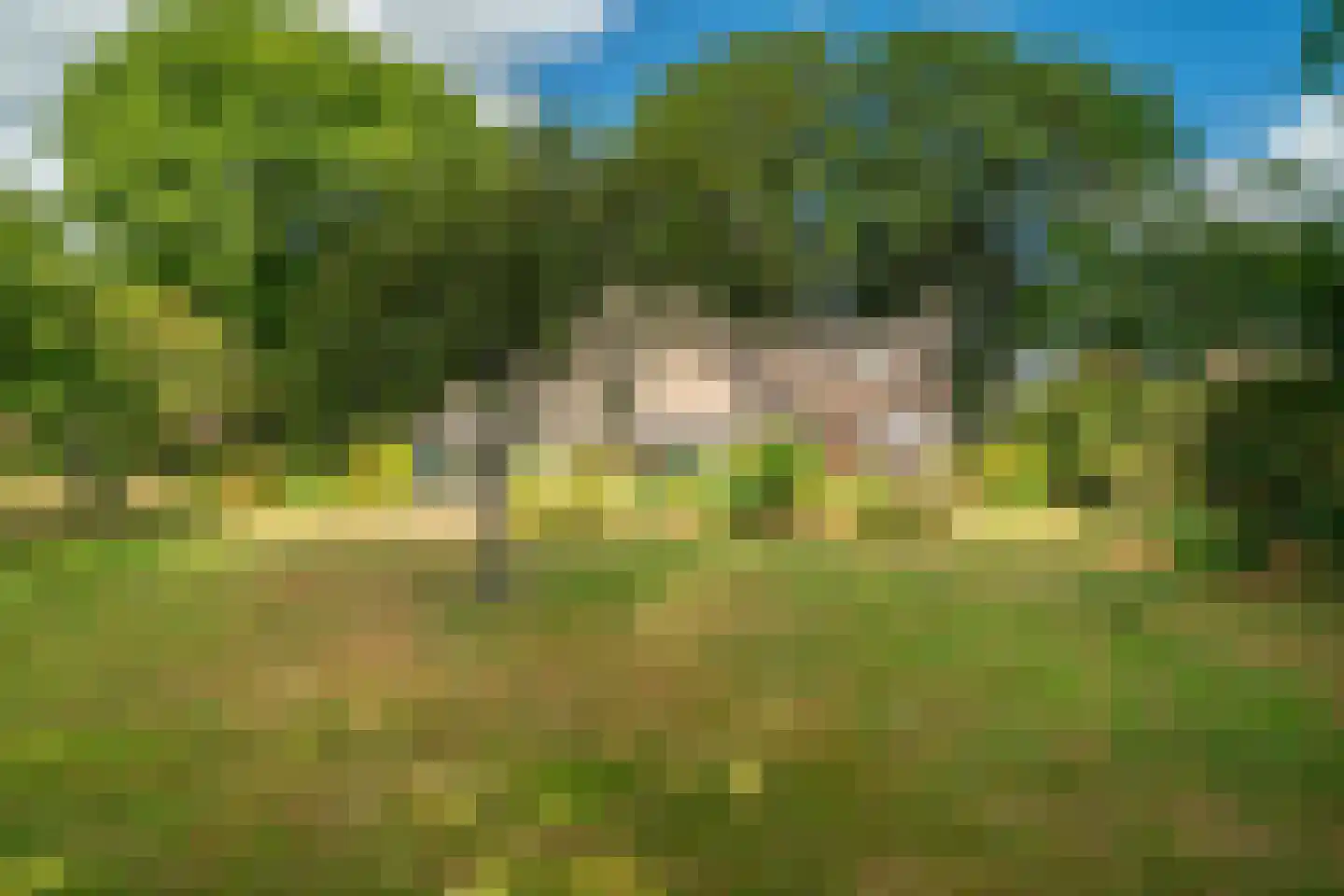 Esweg 12 Norg thumbnail 63